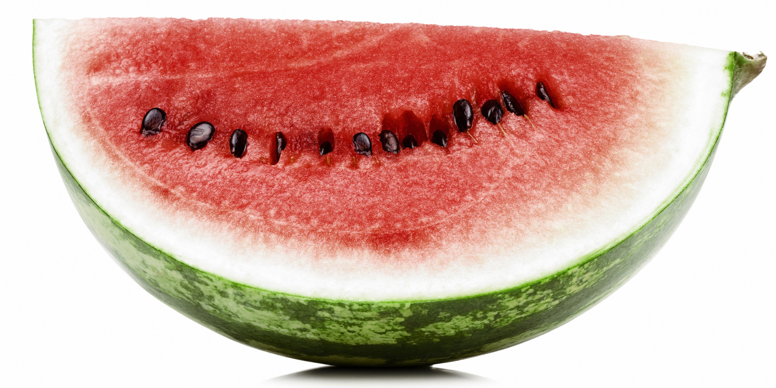 shalqiu-watermelon (beyonce)